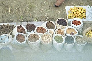 63 Kashgar Sunday Market 1993 Fruit And Vegetable Market From Tower
